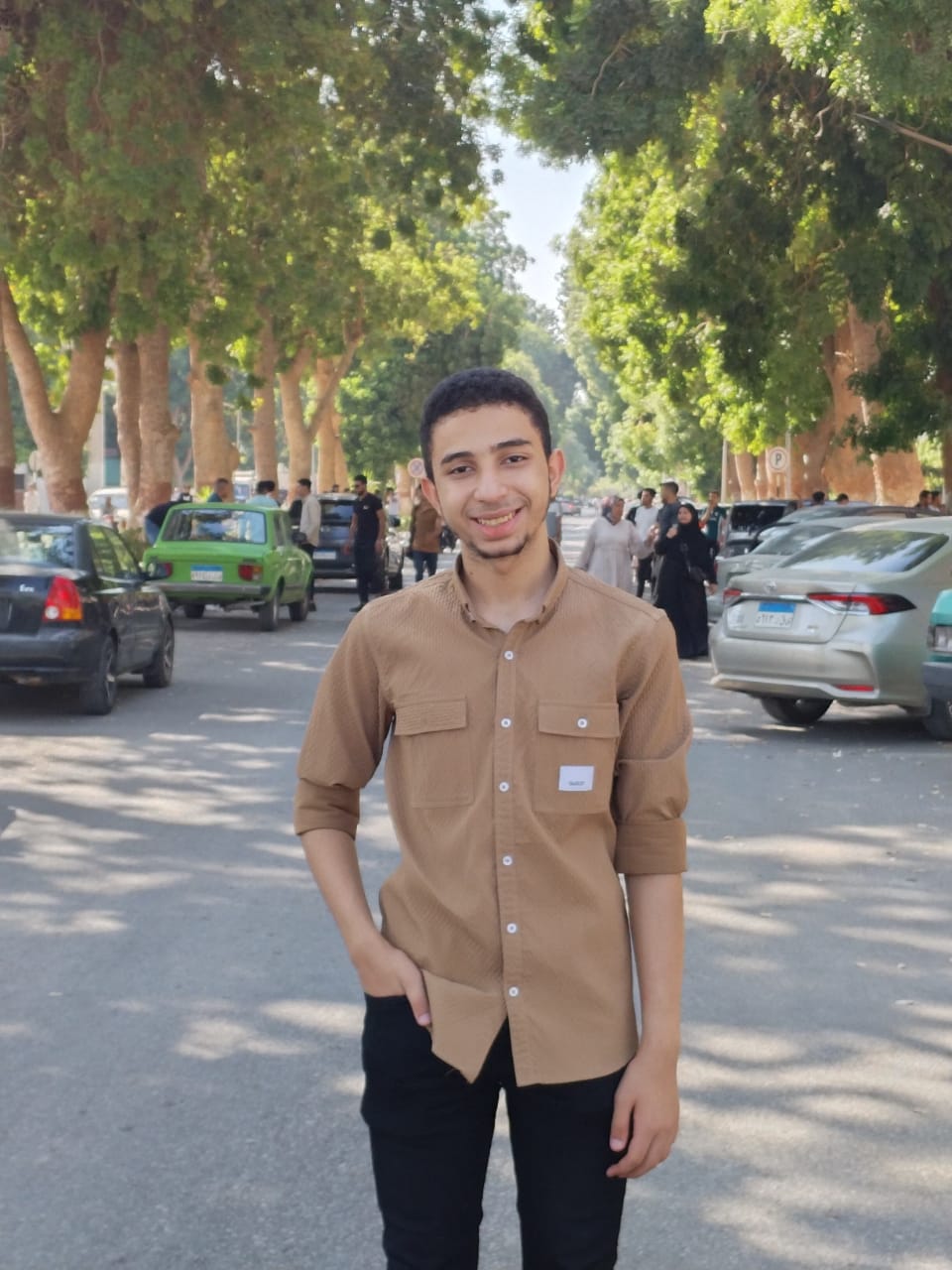 Academic Vice